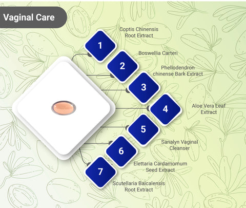 Image of Sanalyn Vaginal Cleanser, Pack of 6 boxes of 3 pills + 1-tablet