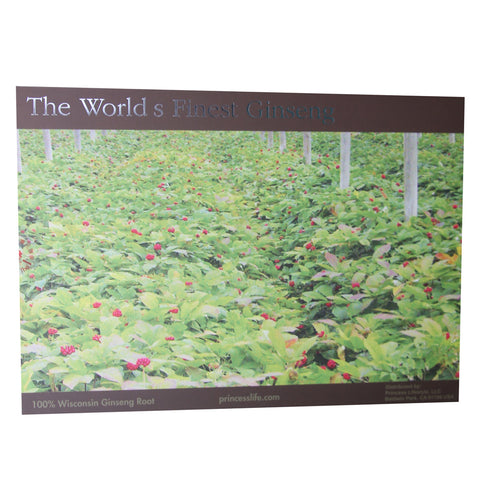 Image of 100% American Ginseng Root Grown In Wisconsin, USA