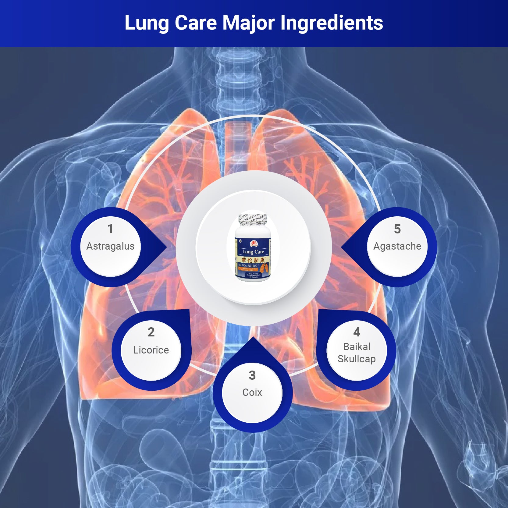 Lung Care - Herbal Supplement for Lung Health and Immune Function Support