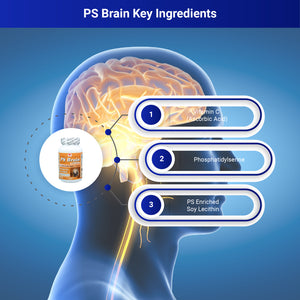 PS Brain – Brain Support Supplements