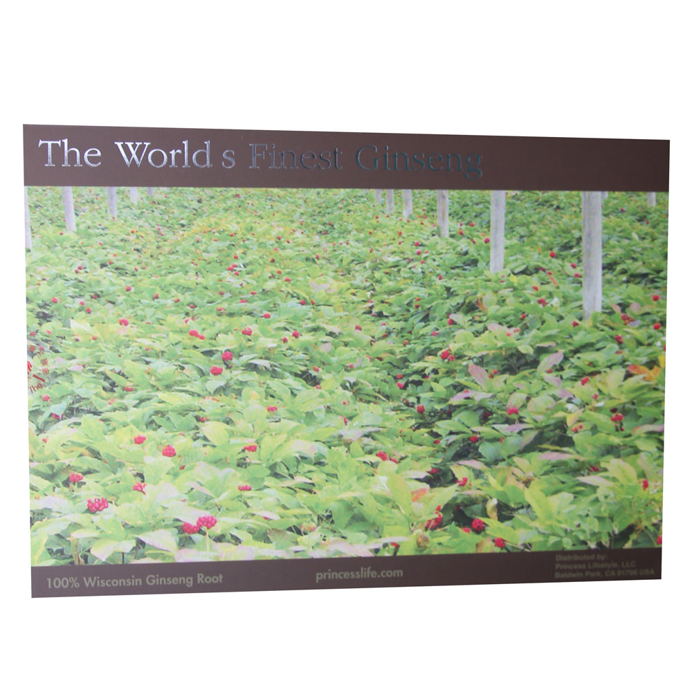 100% American Ginseng Root Grown In Wisconsin, USA
