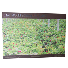 100% American Ginseng Root Grown In Wisconsin, USA