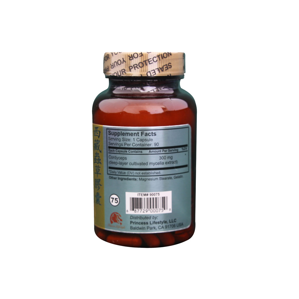 Tibet Cordyceps Sinensis - Nature's Vitality Booster